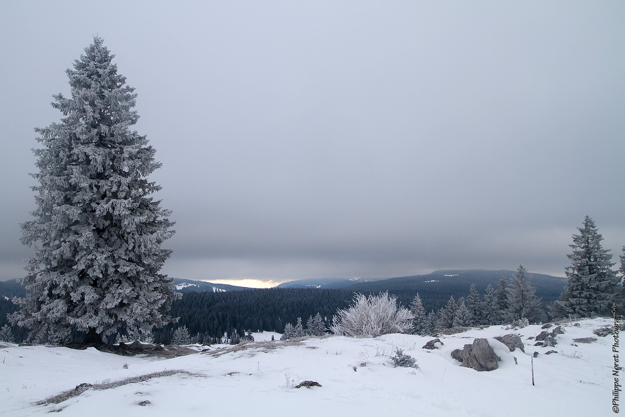 WE Réveillon sur les Crêtes du Jura